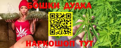 PSILOCYBIN Канаш